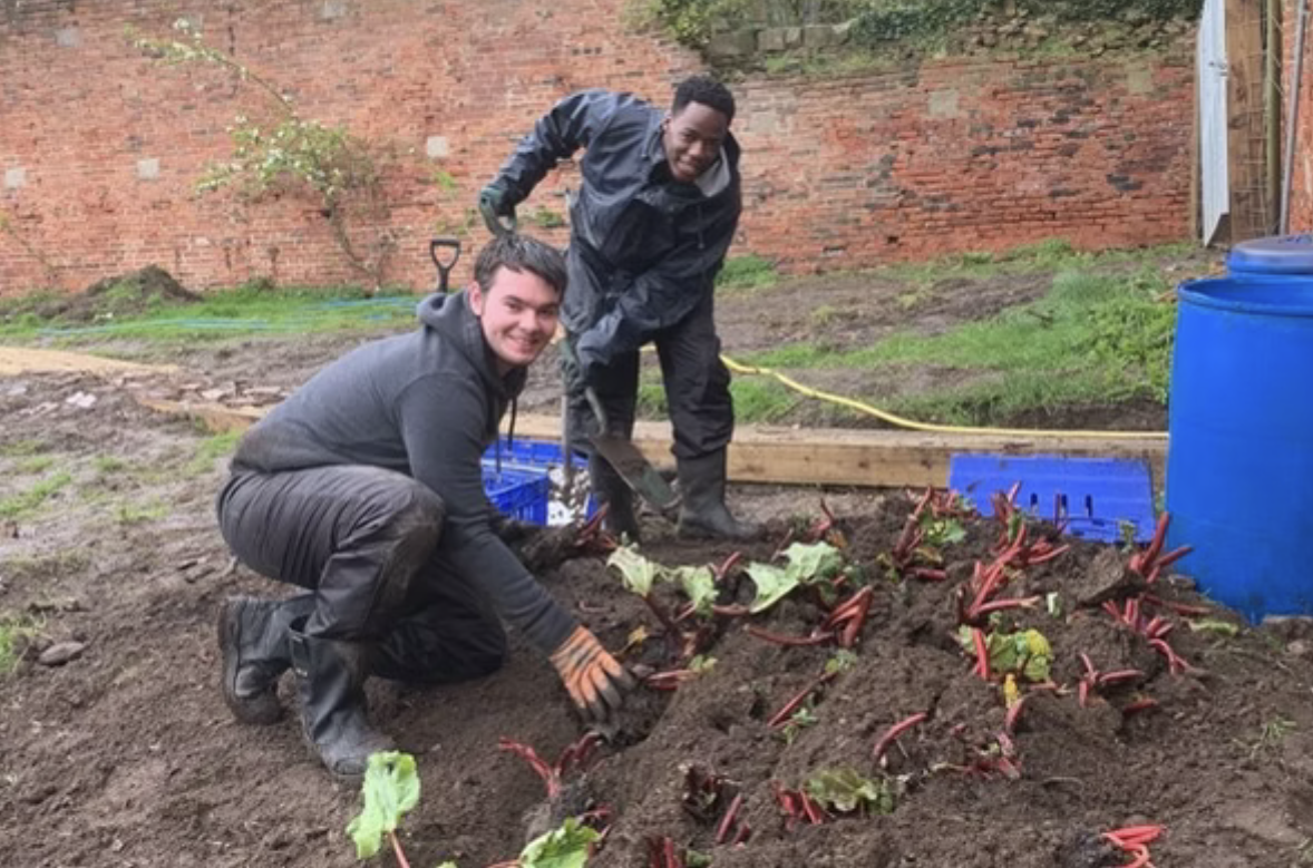 Imagery of our gardening activitie