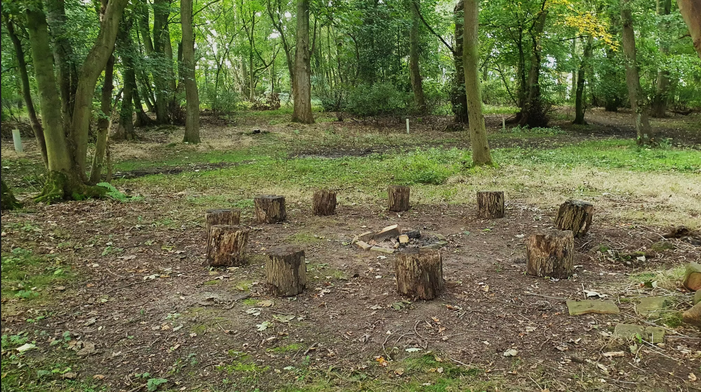 Imagery around our Woodland cabin